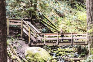 hiking vancouver, easy hikes vancouver, hikes vancouver
